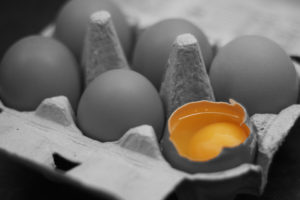 Fresh eggs, even those with clean, uncracked shells, may contain bacteria called Salmonella that can cause foodborne illness, often called “food poisoning”.