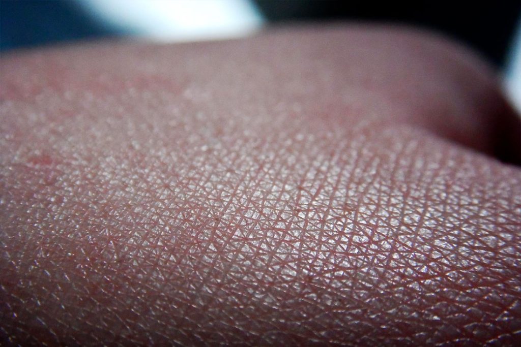 The Essential Functions of Human Skin