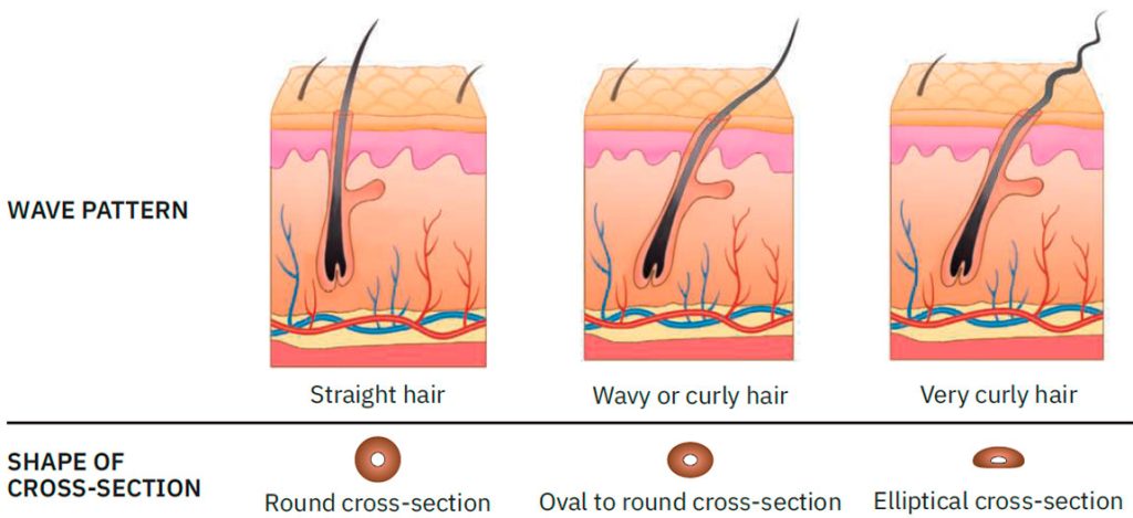 Wave Pattern and Cross-Sections