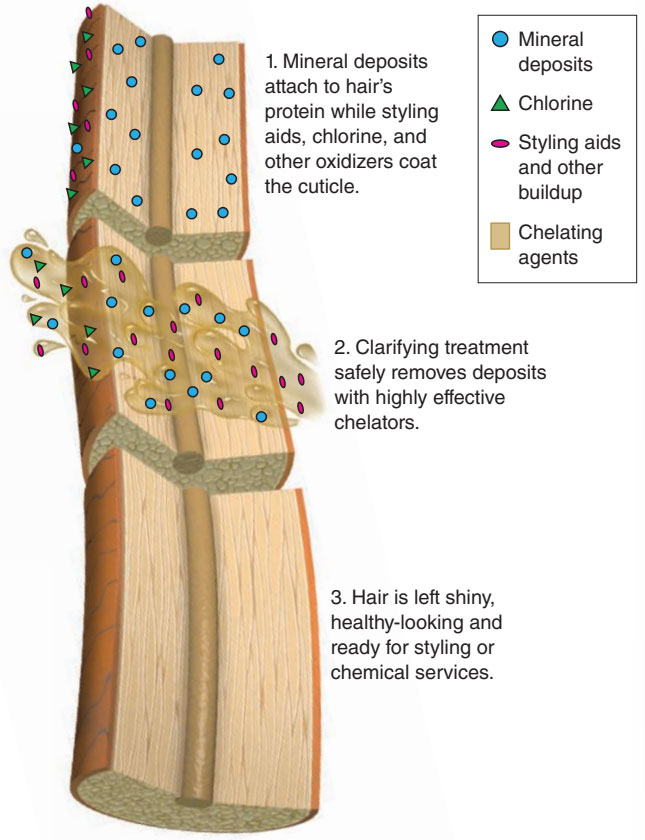 Clarifying shampoo process