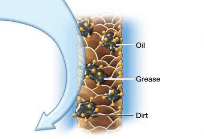 Shampoo causing oils to roll up into small globules