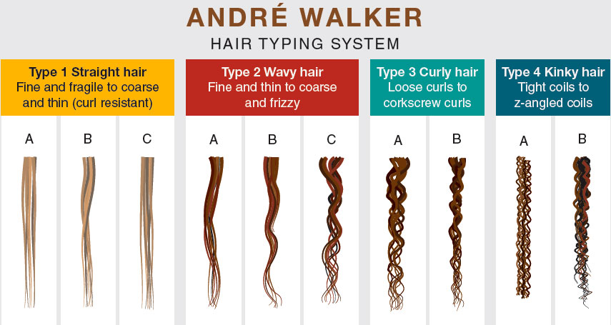 André Walker Hair Typing System was first introduced in the 1990’s (shown) and has since been modified to include more subtypes (Type 3c and Type 4c). For descriptions and visual examples, refer to Table