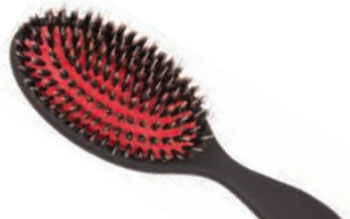 Cushion brush